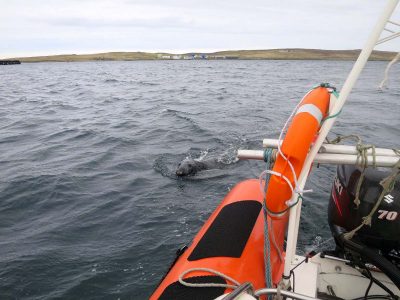 Aspect staff achieve MMO certification