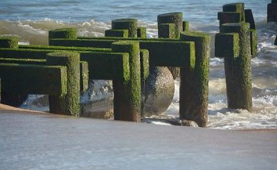 Utility Company Outfall Pipe